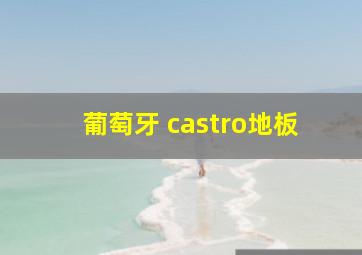 葡萄牙 castro地板